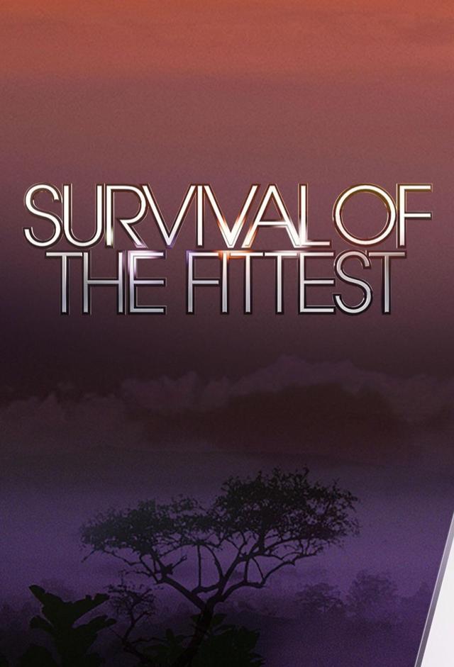 Survival of the Fittest