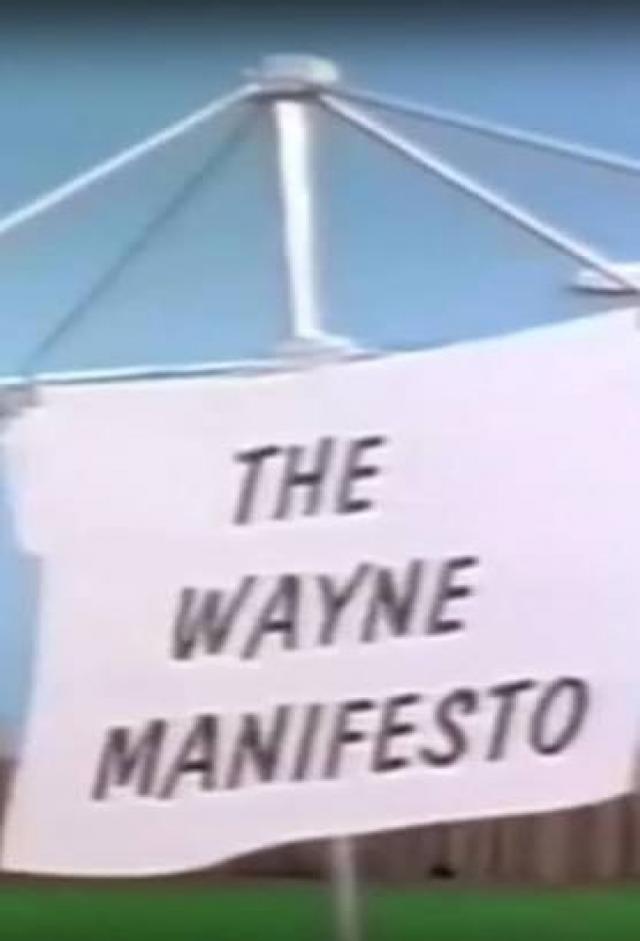 The Wayne Manifesto