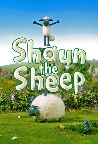 Shaun, vita da pecora