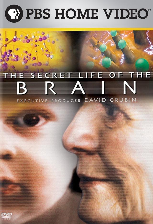 The Secret Life of the Brain