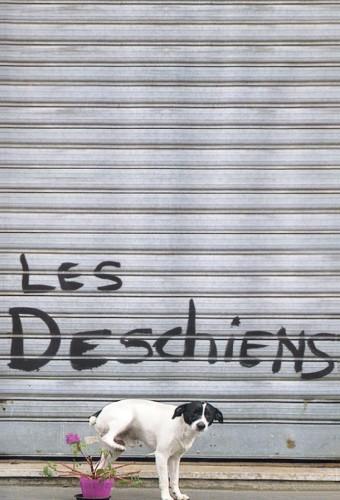 Les Deschiens