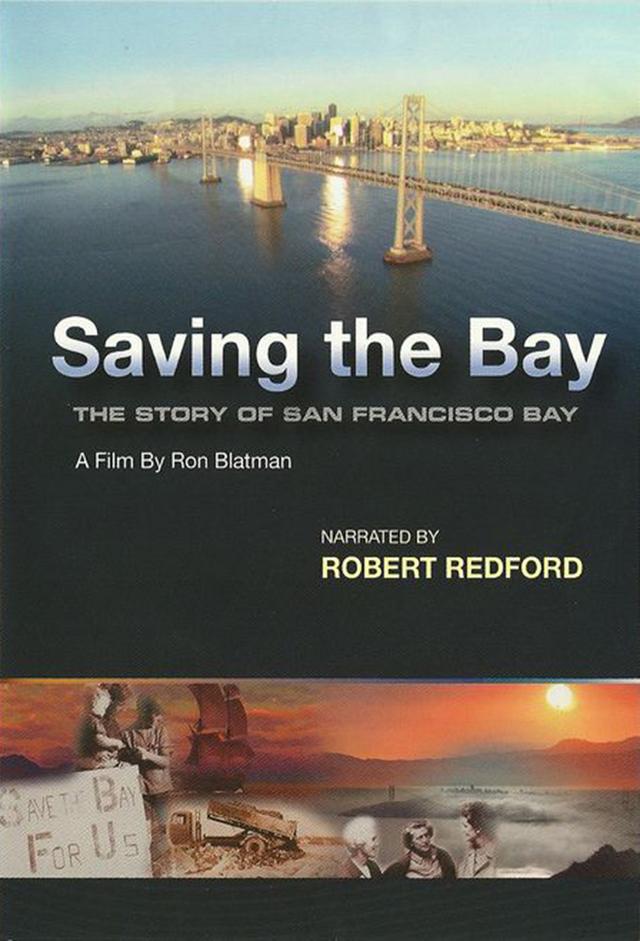 Saving the Bay