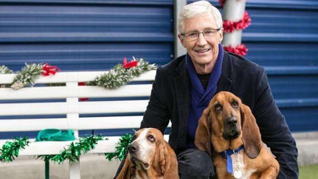 For the Love of Dogs at Christmas 2018