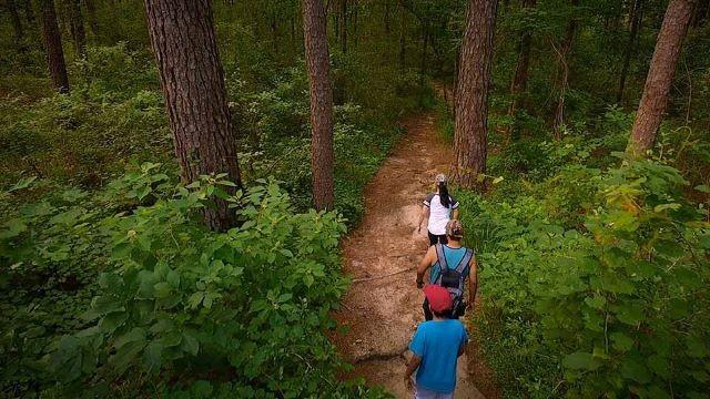 Explore Texas State Parks & Historic Sites