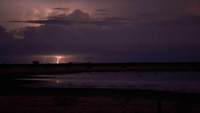 Plains Playas, Bastrop State Park, Hang Ten