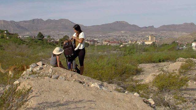 Natural Connection, Blanco River Restoration, Fish Habitat
