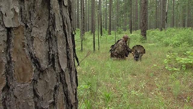 Gobbler Game, Conservation Camp, River Reclamation