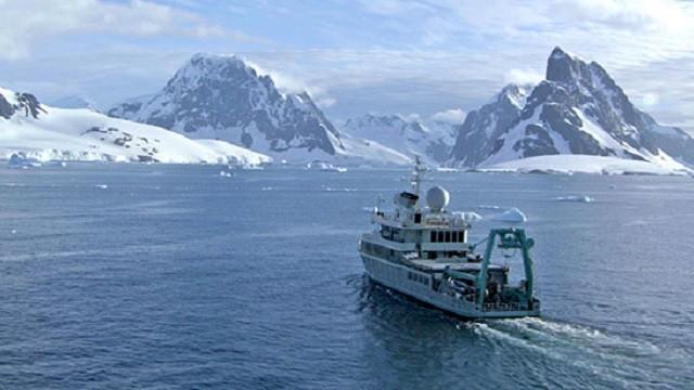 Giants of the Antarctic Deep