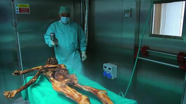 Ötzi, the mystery revealed