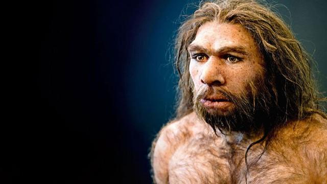 Who killed Neanderthal?