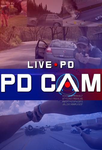 PD Cam: vigiliancia policial