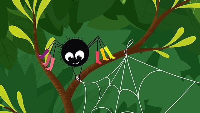 Spider's Web