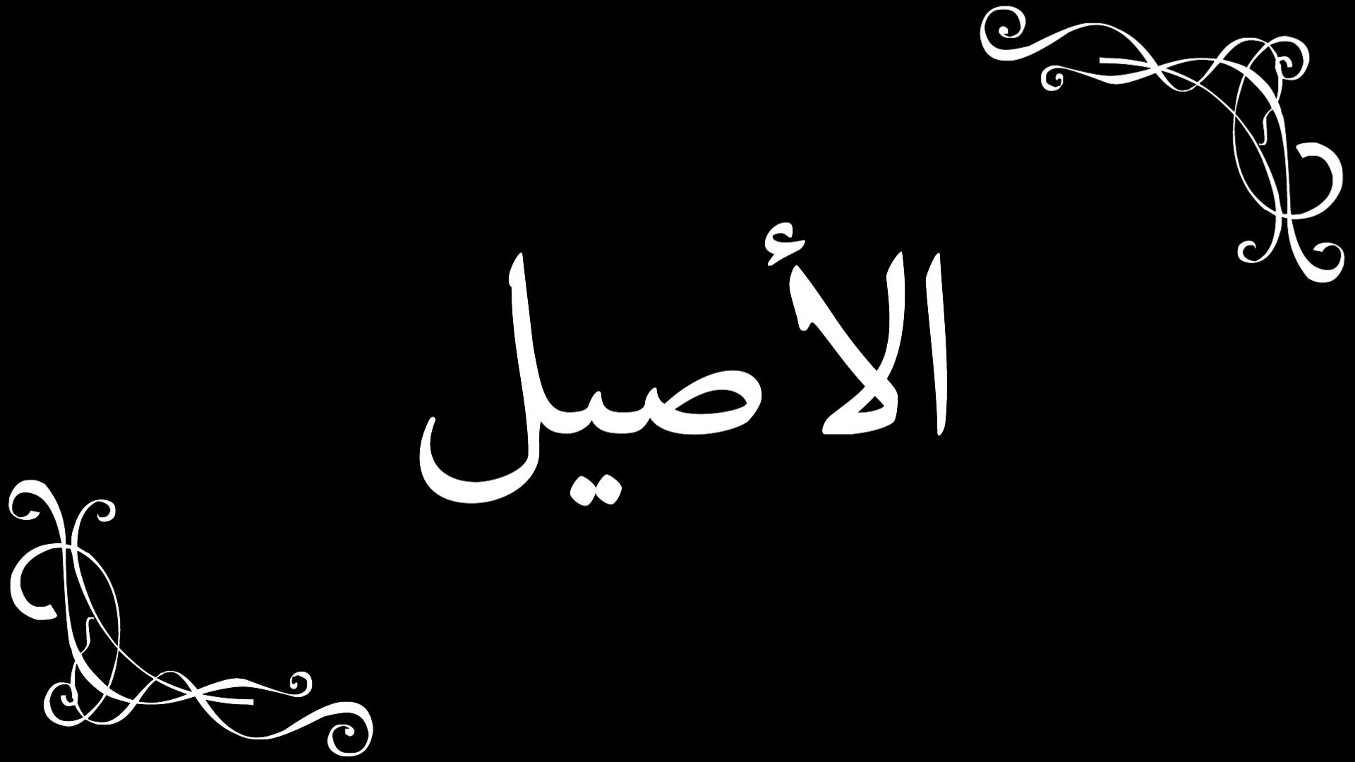 Al-Aseel