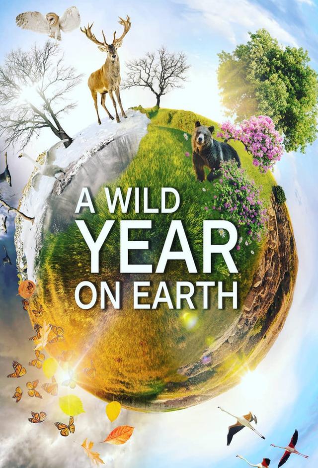 A Wild Year On Earth