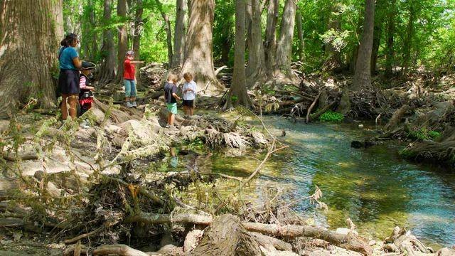 Horned Lizards Return, Cibolo Nature Center & Cooper Lake