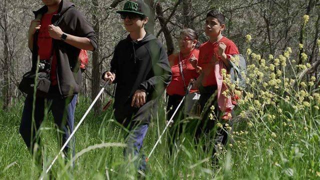 Dragonfly Chasers, Hiking Blind, Texas Bison