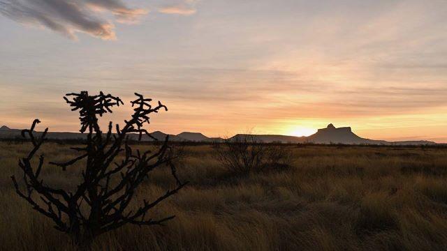 Paddlefish, Field to Fork, West Texas Steward