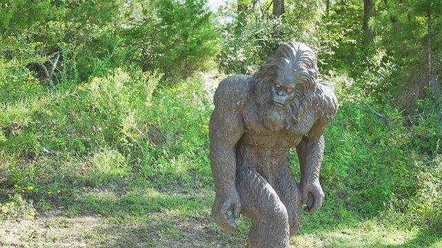 Texas Bigfoot, Seminole Canyon, Black Bears