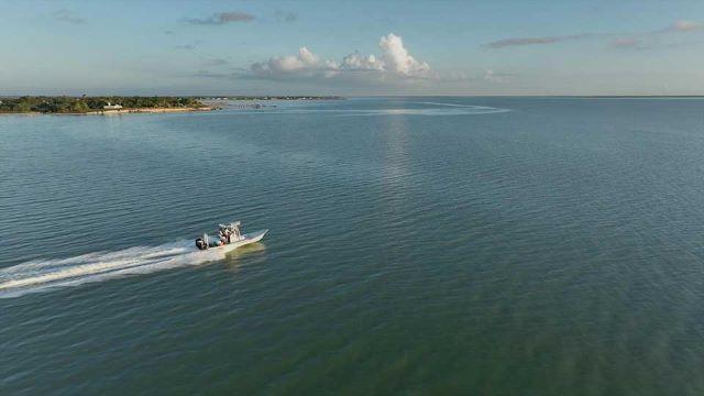 Bird Migration, Fishing for Drum & Saving Baffin Bay
