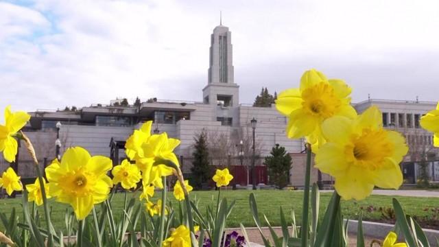 Sunday Morning Session