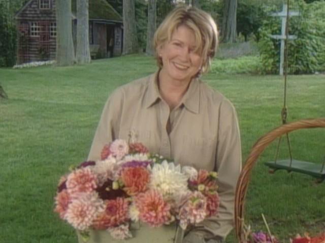 Chewy Chocolate Cookies; Fruit Ambrosia; Doll Maker