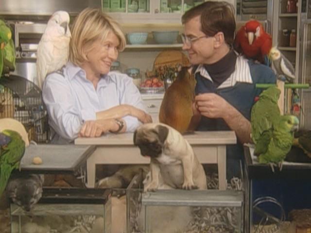 Provence Cooking; Pistou Soup; Bread Dough