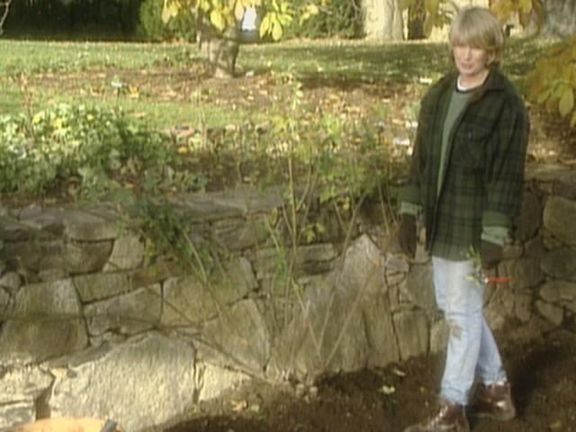 Rosebush Care; Terrariums; Cookie of the Week: Molasses