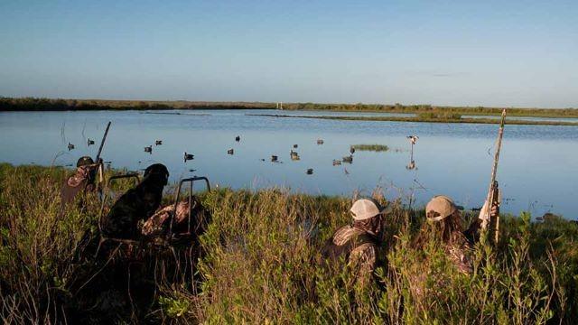 Wild Wetlands Paddling Port O'Connor, Eclipse Village