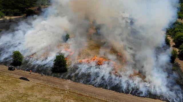 Famous Trees, Paddling San Antonio & Fishing Facilitator