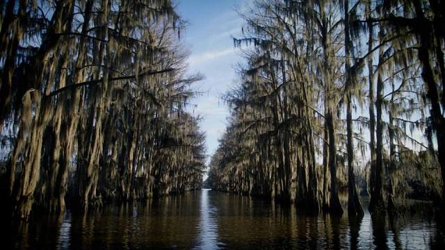 Conserving Water, Archery at School & Free Fishing