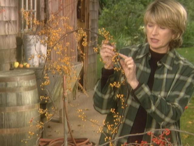 Apple Pie at Breezy Hill (Field Trip); Bittersweet Wreath