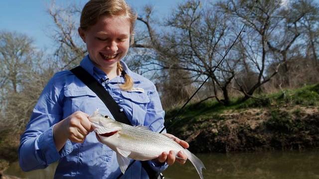 Crazy Ants, White Bass Fishing & Freshwater's Future