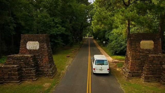 Armored Catfish, Caddo Lake, Rio Grande Valley Reef