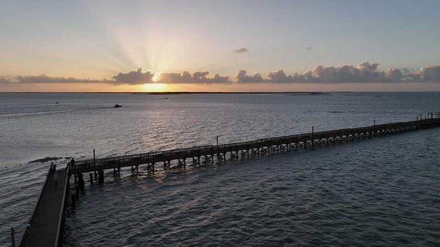 Lights Out for Birds, Goose Island, Building a Park