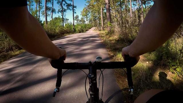 Austin Food Forest, Birding Oasis, Conservation Leader