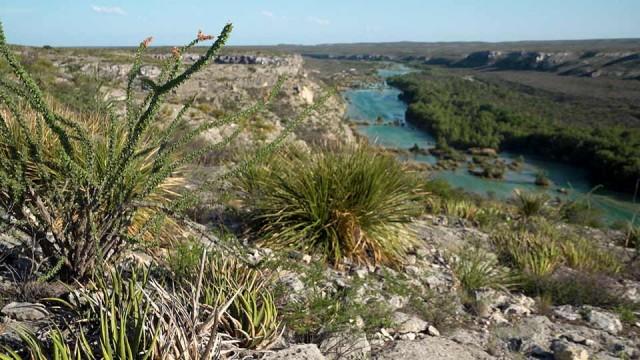 Flounder Science, Wildlife Selfies, Green Turtle Team