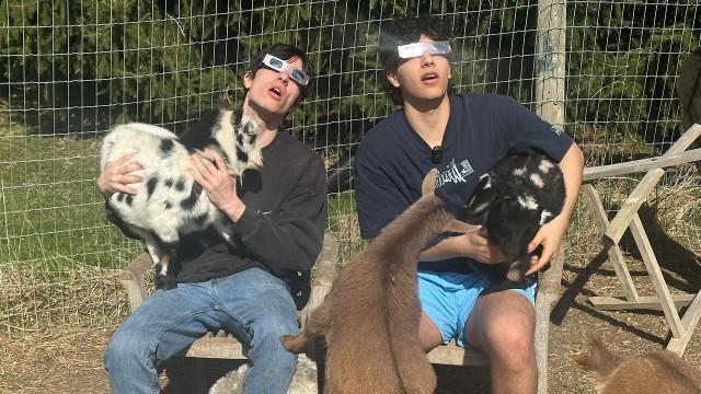 Barnyard Eclipse Mukbang