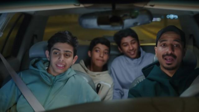 الكلاب الضالة