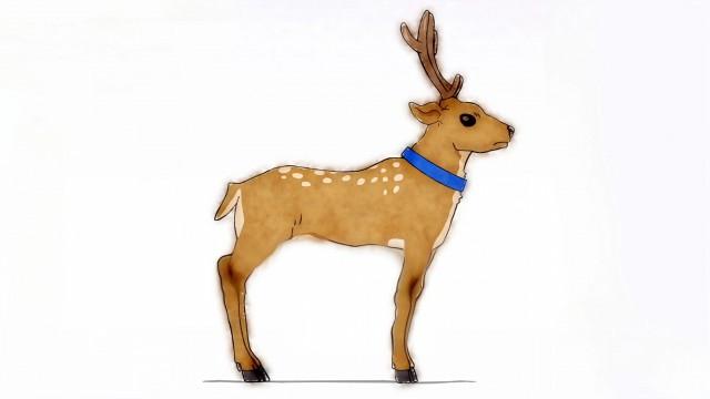 The Mosquito / Photo Editing App