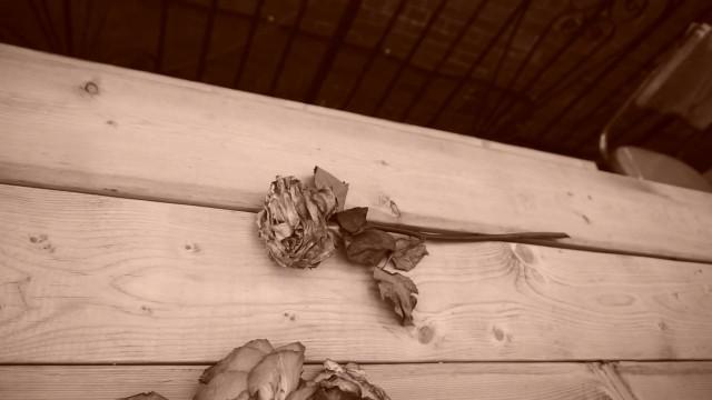 Derivative Phil - For Anne, From Roy