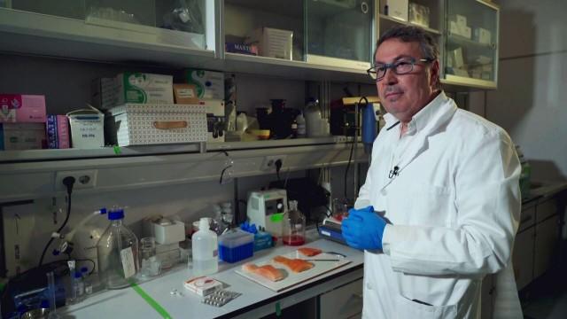 El Imperio del salmón