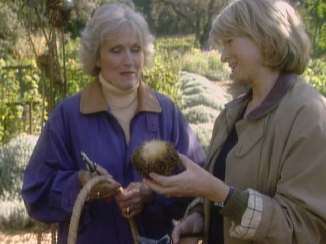 Chappellet Winery Tour (Field Trip); Donn's Waffles