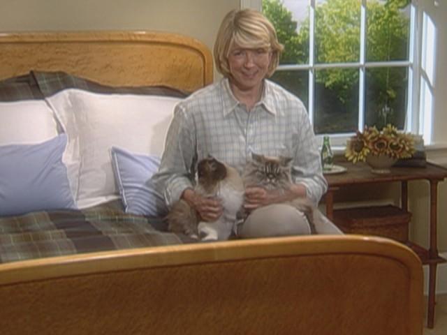 Sheet Duvet; Custom Duvet; Duvet Tie; Caring for Blankets