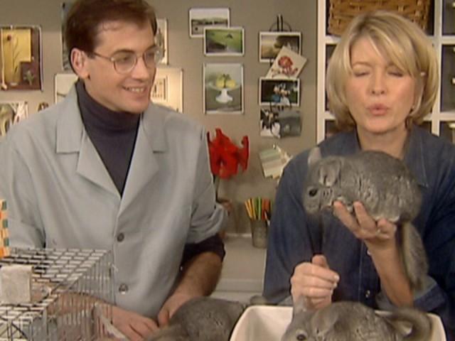 Bathing Cats and Dogs; Bathing Birds and Ferrets; Pet Hair