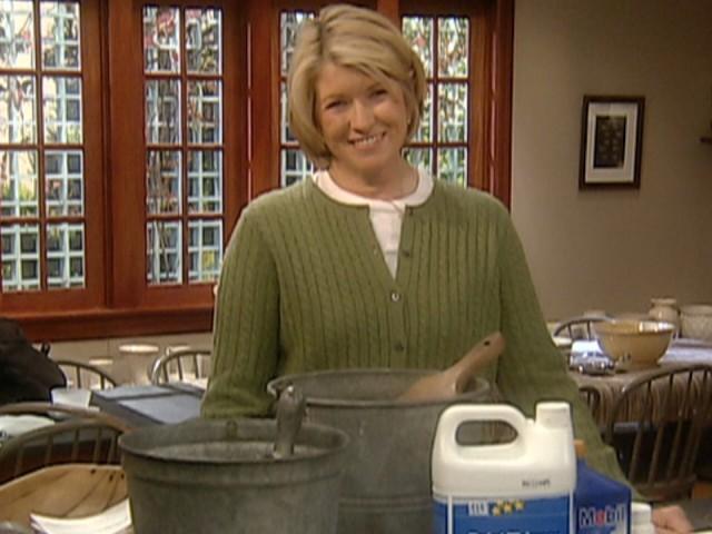 French Toast; Hot Chocolate; Preparing Pets for a Move