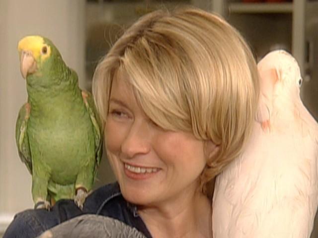 Pet Show: Caring for Bird Teeth and Beaks; Making Bird Toys