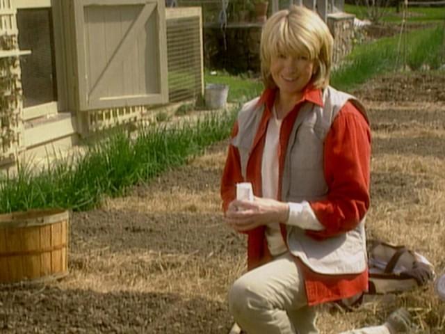 Collecting Copper; Caring for Copper; Onions and Beets