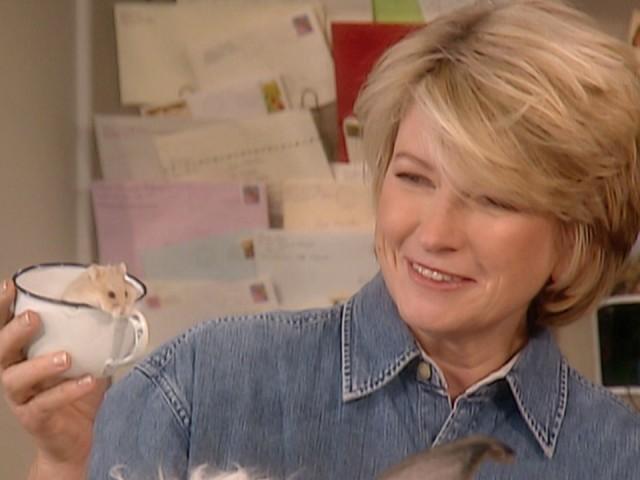 Pets: Exotic Animals 101; Top Pet Birds; Reptiles 101