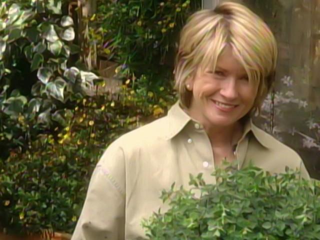 Repotting 101; Cookie of the Week: Plum Ravioli