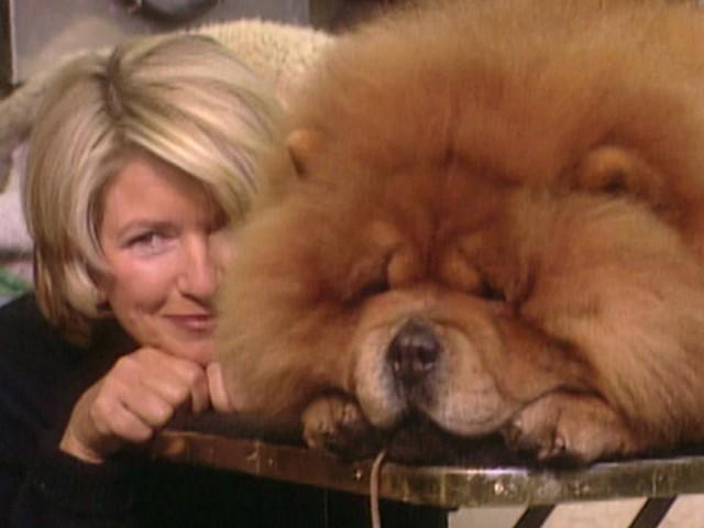 123rd Westminster Kennel Club Dog Show (Field Trip)